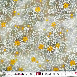 C|[g̃S[h̉Ԃт畿 ̉Ԃт I[I[o[//O[RK-3659 Rbgvgn