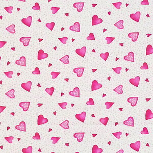 ZsÑn[g gX/zCg RR-3810 Rbgvgn