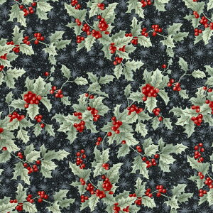 C|[g̉NX}XEqCM Ԃ̃qCM ubN MO-4829 Rbgvgn