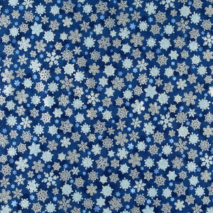 C|[g̉NX}X̐̌ Vo[̐̌ lCr[ RK-4841 Rbgvgn