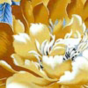 C|[g̑_ȃfUC̉ԕ ւ̉F̂ RR-1608 Rbgvgn