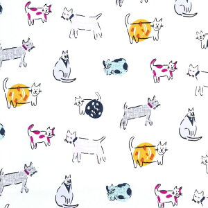 C|[g̉lR q̗̂悤Ȑ̃lR zCg F-4273 Rbgvgn