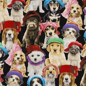 Xqq ubN ES-4559 Rbgvgn