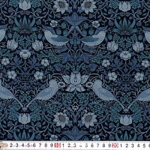 X xXgEIuEX D_ Vg[/CfBS MO-1891 Rbgvgn