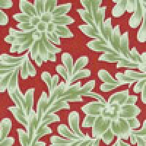 MS-2355 ΂̉ԍj bh Rbgvgn