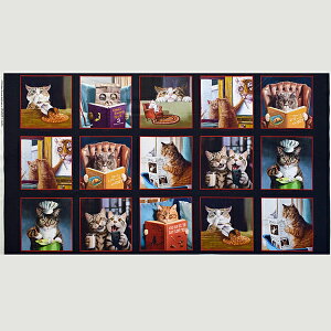 IȃC|[g̔L`[t̃ubNEpl {ǂ񂾂A肷lR̃pl ubN 110*60 ES4865 i Rbgvgn