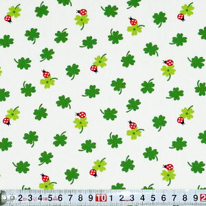 N[o[ƃegE gX/zCg CK-2182 Rbgvgn