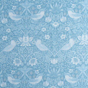 X xXgEIuEX D_ F MO-4188 Rbgvgn