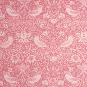 X xXgEIuEX D_ sN MO-4189 Rbgvgn