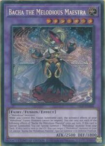 pŁ@@Bacha the Melodious Maestra(S)(t̉PXyN^L[Eobn)(EU)(25LP-EN006)