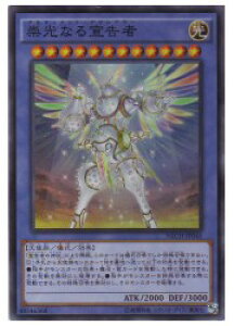 VY@@Ȃ鍐(SR)(NECH-JP045)