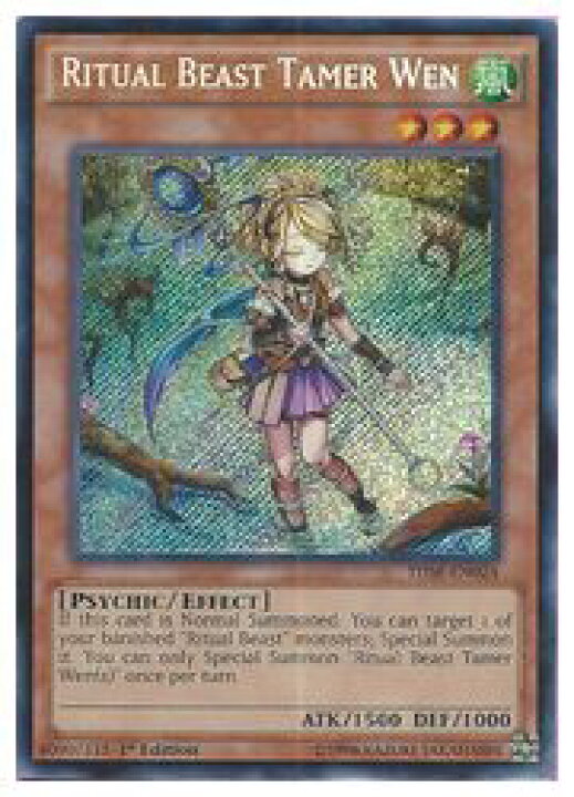 楽天市場 英語版 北米版 茶 Ritual Beast Tamer Wen S 1st 霊獣使いウェン Hobby Shop ファミコンくん