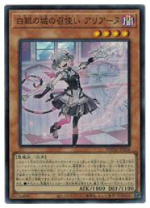 VY@@̏̏g AA[k(SR)(DBTM-JP016)