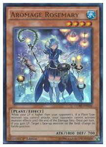 pŁ@@AROMAGE ROSEMARY(U)(1st)(A}[W-[Y}[)(CORE-EN036)