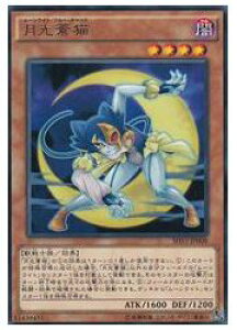 遊戯王 猫の人気商品 通販 価格比較 価格 Com 遊戯王 猫の人気商品 通販 価格比較 価格 Com
