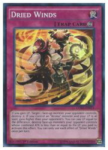 pŁ@s@DRIED WINDS(SR)(1st)(̕)(CORE-EN075)