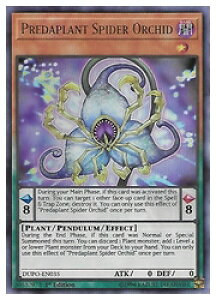 pŁ@DUPO@P@Predaplant Spider Orchid(U)(1st)(ߐHAXpC_[EI[Lbh)