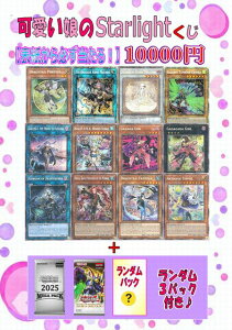 pŁ@VYypŁzX^[CgẢ\K I 10000