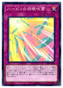 VY@@n[sB̉H(N)(19SP-JP510)
