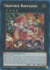 �p��Ł@���@Traptrix Rafflesia(PCR)(1st)(�t���V�A��峘f��)(RA02-EN034)