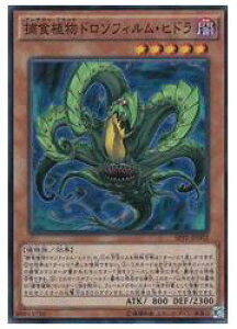 �V�Y���@�@���@�ߐH�A���h���\�t�B�����E�q�h��(SR)(SPFE-JP002)