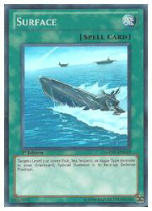 pŁ@΁@SURFACE(SR)(1st)()(GENF-EN049)