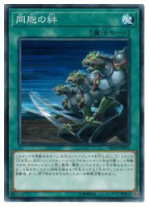�V�Y���@�@�΁@���E���J(N)(SR10-JP030)