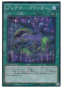 VY@@΁@vf^[Ev^[(SR)(SPFE-JP011)