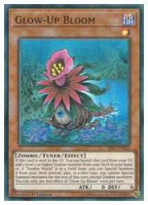 �p��Ł@���@Glow-Up Bloom(SR)(1st)(�O���[�A�b�v�E�u���[��)(SR07-EN003)