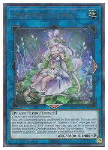 pŁ@L@Traptrix Cularia(U)(1st)(NA峘f)(LIOV-EN046)