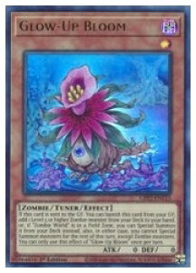 �p��Ł@���@Glow-Up Bloom(U)(1st)(�O���[�A�b�v�E�u���[��)(GFP2-EN115)