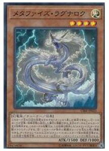 �V�Y���@�@���@���^�t�@�C�Y�E���O�i���N(SR)(CIBR-JP023)