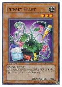 �p��Ł@���@PUPPET PLANT(N)(1st)(�p�y�b�g�E�v�����g)(STON-EN022)