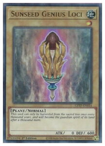 �p��Ł@���@Sunseed Genius Loci(U)(1st)(����̒n��)(GFTP-EN014)