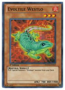 �p��Ł@���@EVOLTILE WESTLO(SR)(1st)(�G���H���h�E�E�F�X�g��)(PHSW-EN017)