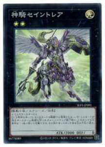 VY@@@_RZCgA(SR)(SLF1-JP091)