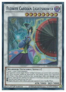 pŁ@@Flower Cardian Lightshower(U)()(1st)(ԎDq-Jl-)(DLCS-EN135)