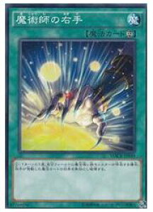 VY@@pt̉E(N)(MACR-JP049)