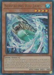 �p��Ł@���@Surfacing Big Jaws(U)(1st)(���シ��r�b�N�E�W���[�Y)(ROTA-EN001)