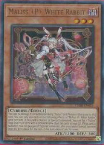 �p��Ł@���@Maliss ��P�� White Rabbit(U)(1st)(�}���X �N�B�[�� �|�[�� �z���C�g�E���r�b�g)(CRBR-EN015)