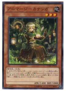 �V�Y���@�@���@�A���}�[�W-�J�i���K(N)(CORE-JP035)