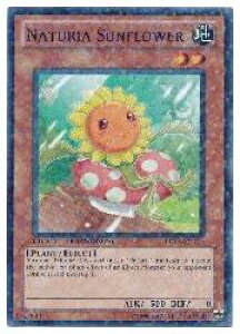 pŁ@@NATURIA SUNFLOWER(N)(i`ETt[)(DT03-EN018)