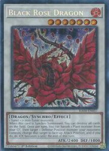 �p��Ł@���@Black Rose Dragon(PCR)(1st)(�u���b�N�E���[�Y�E�h���S��)(RA04-EN057)