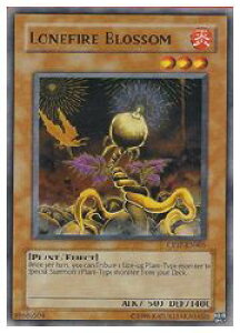 �p��Ł@���@LONEFIRE BLOSSOM(SR)(���[���t�@�C�A�E�u���b�T��)(CP07)(CP07-EN005)