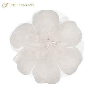 RT[W tH[} w    ݌Ɉ|Z[ 킢 V[  fh12019cm