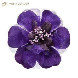 RT[W tH[} w    ݌Ɉ|Z[ 킢 V[  fh12019dpe