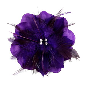 RT[W tH[} w    ݌Ɉ|Z[ 킢 V[  fh12031pe