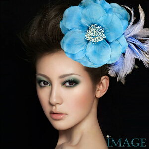 RT[W tH[} w    ݌Ɉ|Z[ 킢 V[  fh12033be