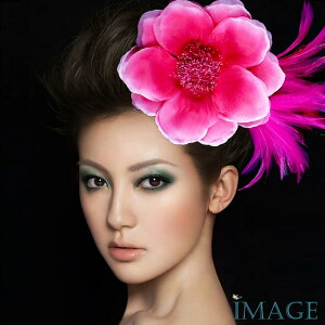 RT[W tH[} w    ݌Ɉ|Z[ 킢 V[  fh12033gpk