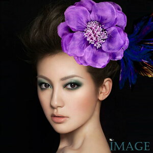 RT[W tH[} w    ݌Ɉ|Z[ 킢 V[  fh12033pe